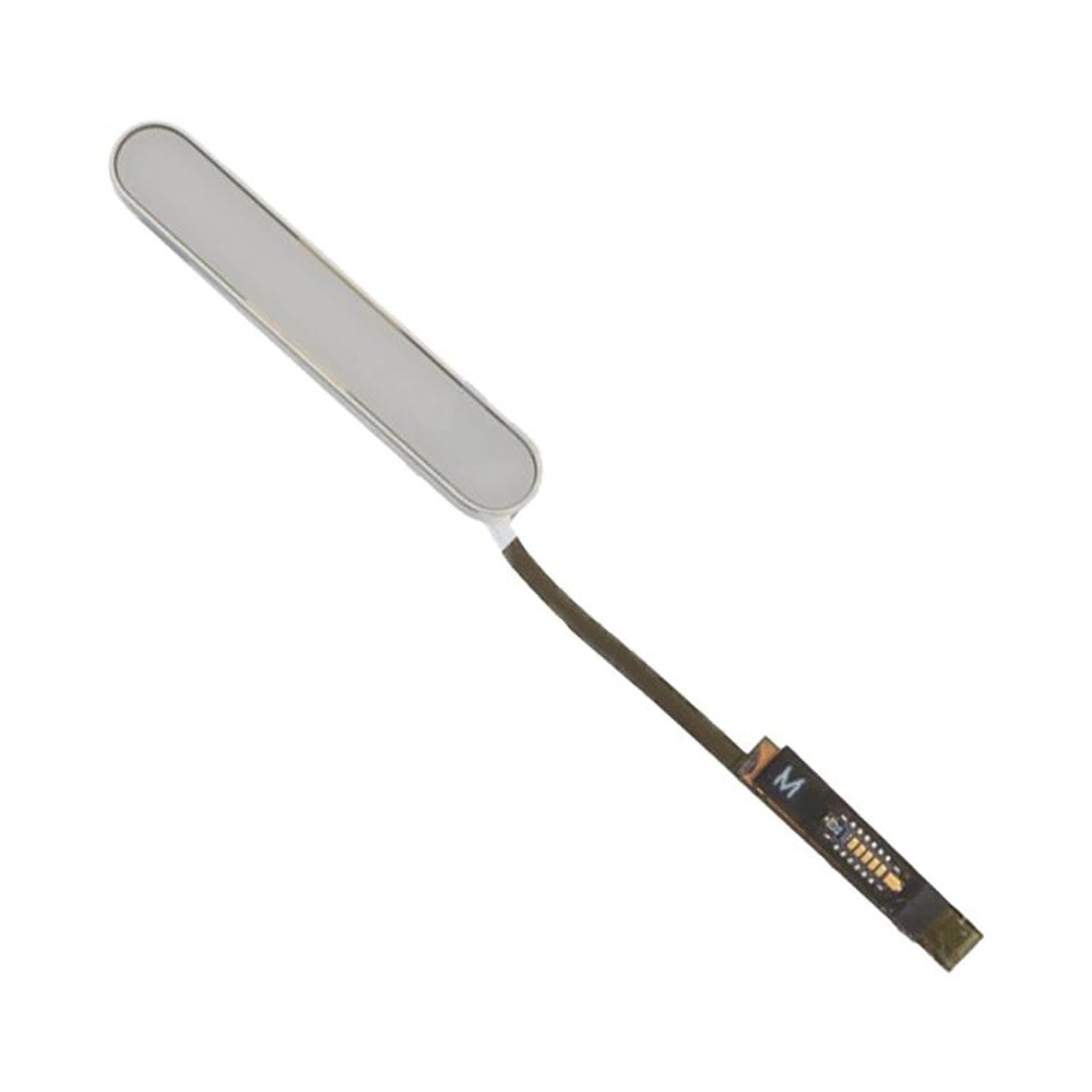 Nappe de contrôle caméra iPhone 16 Blanc