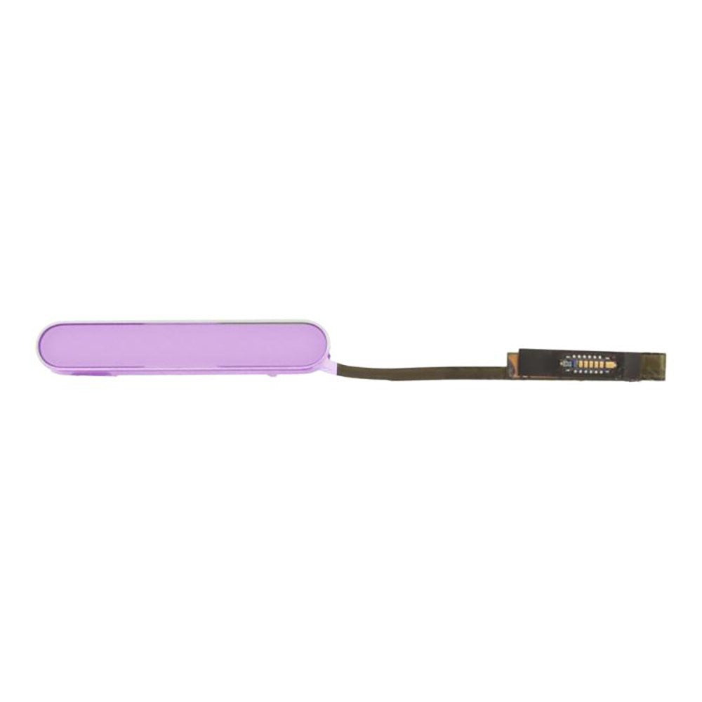 Nappe de contrôle caméra iPhone 16 Rose