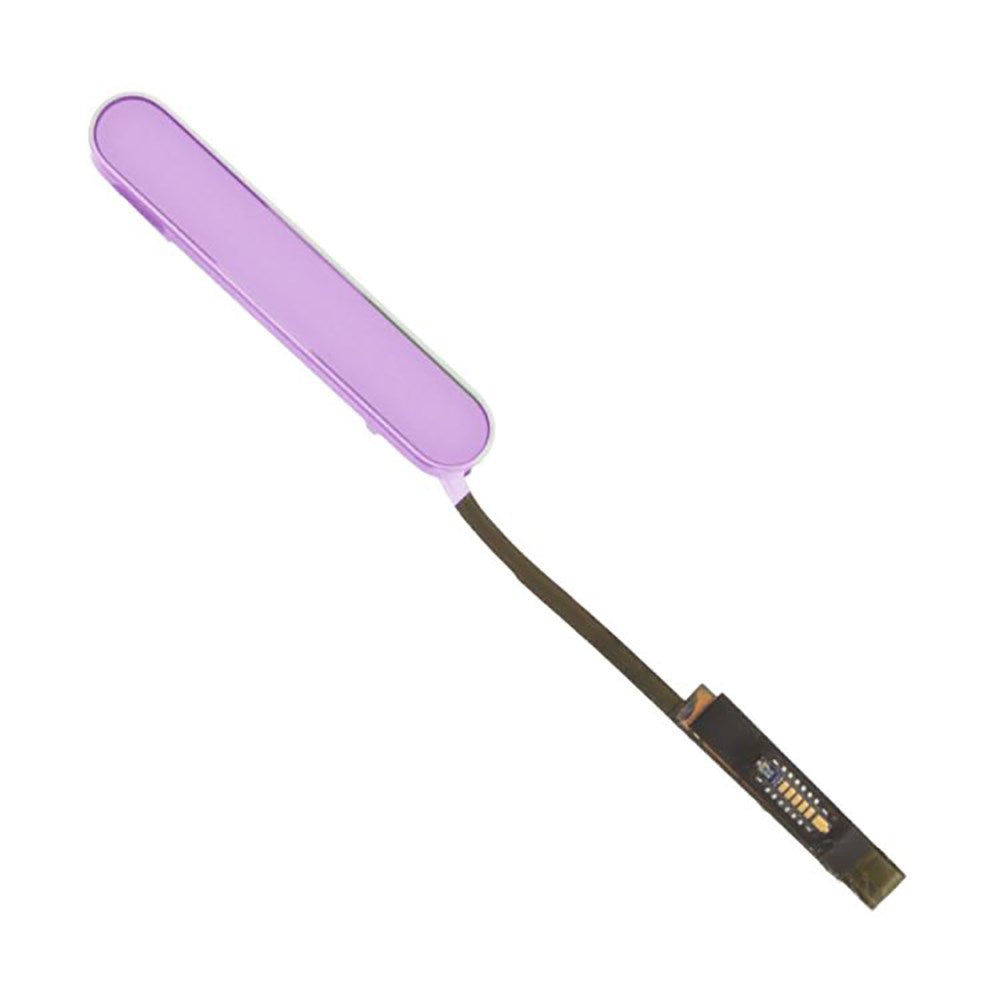 Nappe de contrôle caméra iPhone 16 Rose
